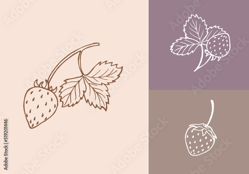Set with vector images of strawberries. Berries and leaves on a colored background. Hand drawn vector illustration.