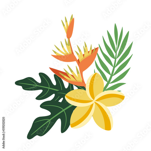 Bouquet with Plumeria, Heliconia, Alocasia leaf and exotic palm isolated on white background. Card with vector floral illustration. Flat Plant Composition. Botanical summer decor © Darya