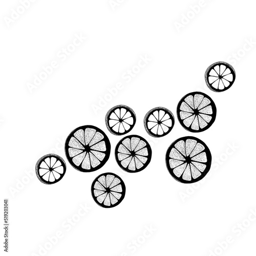 Citrus fruits, lemon slices hand drawn isolated on white. View from above. ci...