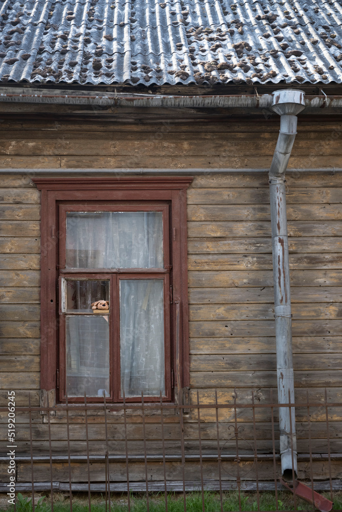 toy dog looks out of the window into the street toy dog looks out of the window into the street