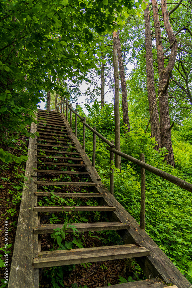 Obraz premium Forest Trail with Many Steps Up