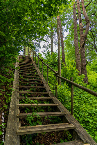 Forest Trail with Many Steps Up