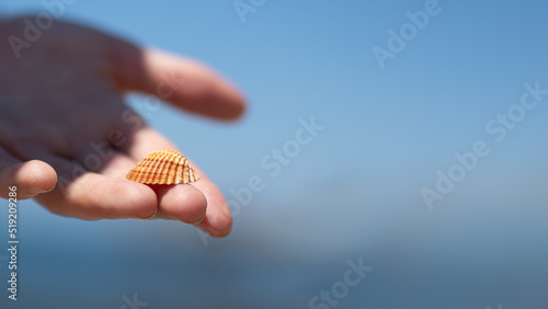 Muszla na dłoni, muszla znaleziona na plaży © Klaudia Baran