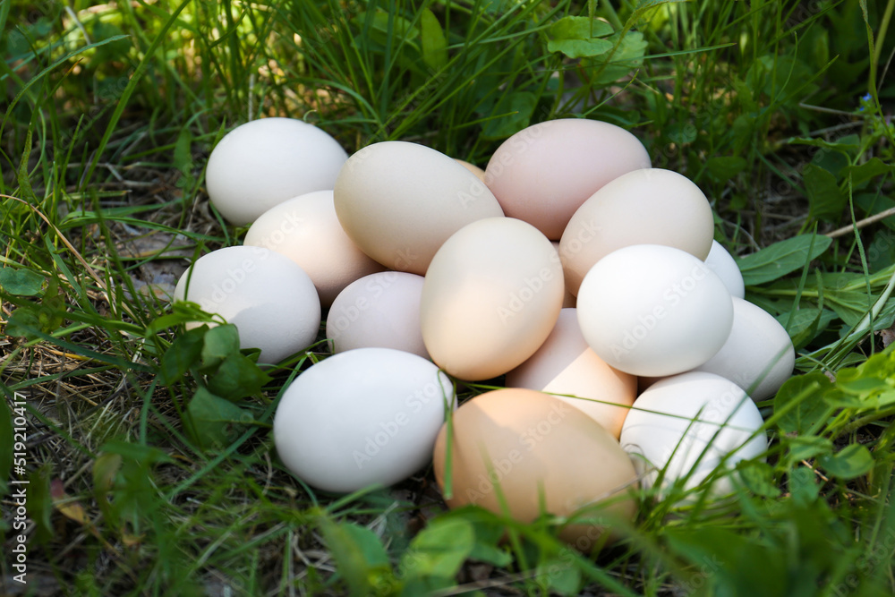 Pile of fresh raw eggs on green grass outdoors Pile of fresh raw eggs on green grass outdoors