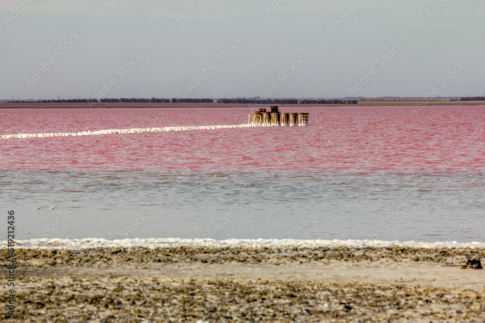 Aerial view of the salt lake Sasyk-Sivash during flowering. Evpatoria, Crimea