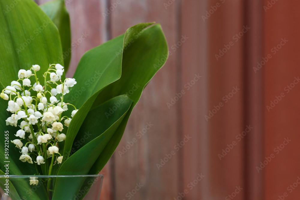 Obraz premium Beautiful lily of the valley flowers in glass vase against red wooden background, closeup. Space for text