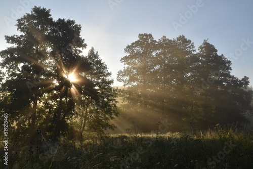 Morning Warmian landscape of Poland