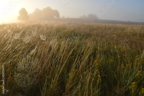 Morning Warmian landscape of Poland photo