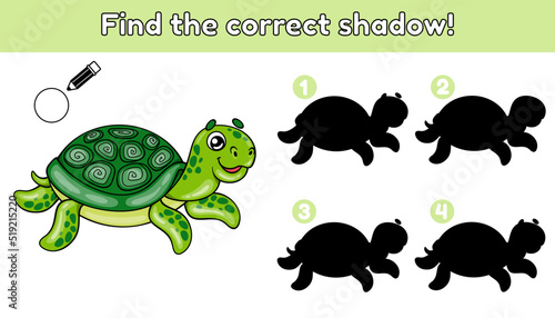 Find the correct shadow. Activity for kids and toddlers. Children educational game. Turtle vector illustration in cartoon style.