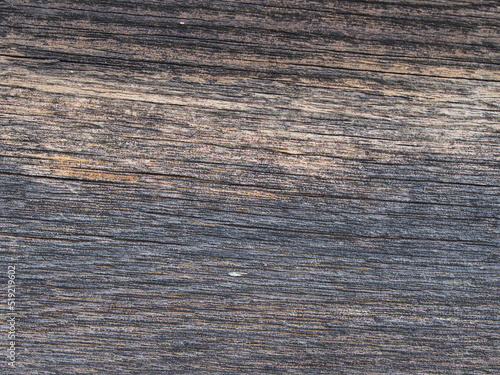 The texture of a sawn-down tree. Macro photography.