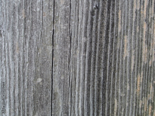 The texture of a sawn-down tree. Macro photography.