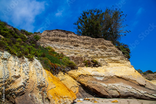 large brown rocky cliffs at the beach covered in lush green trees and plants with blue sky and clouds at Leadbetter Beach in Santa Barbara California USA photo