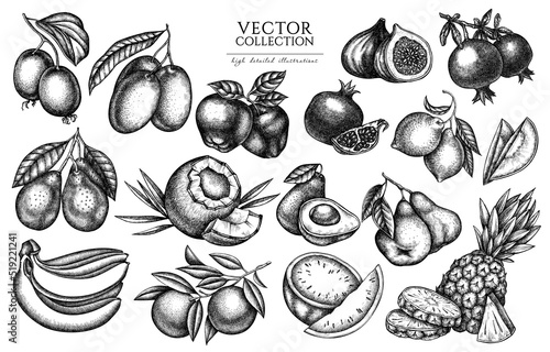 Fruits vintage illustrations collection. Hand drawn logo designs with bananas, pears, kiwi etc.