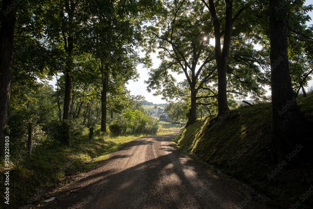 Fototapeta premium Country road winding through a shadowy forest opening up into farmland