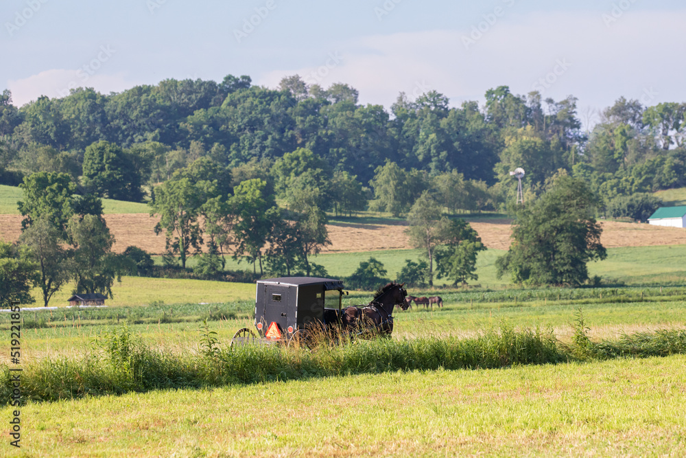 Amish horse and buggy traveling through the wooded countryside of Holmes County, Ohio Amish horse and buggy traveling through the wooded countryside of Holmes County, Ohio
