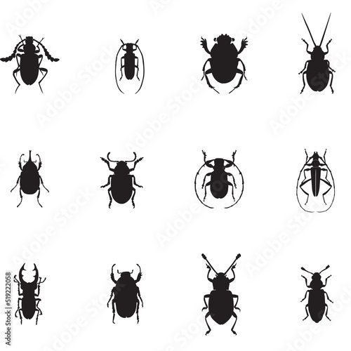 A set of insects. Silhouettes of beetles © tcheres