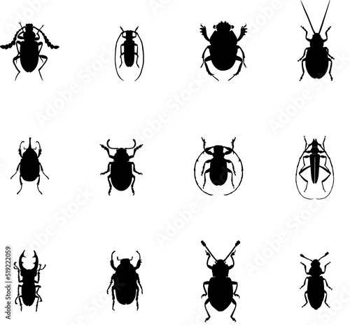 A set of insects. Silhouettes of beetles