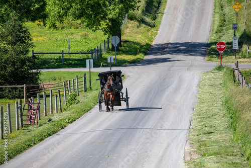 Canvas Print Amish horse and buggy on a country road in the summer in Holmes County, Ohio, ne