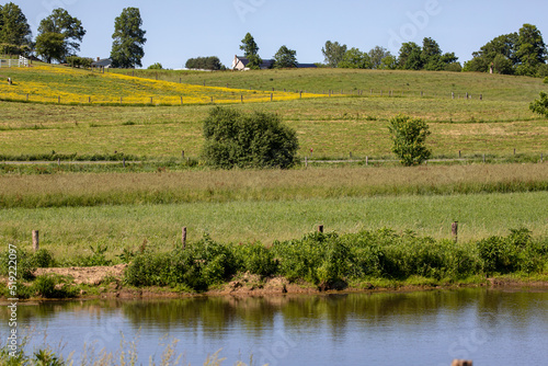 Green rolling farm fields with trees and a pond in Amish country  Ohio