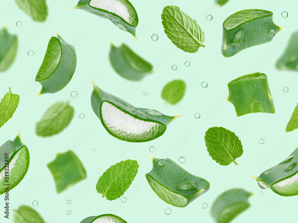 Aloe vera and mint leaves seamless pattern on green background. Aloe vera and mint leaves seamless pattern on green background.