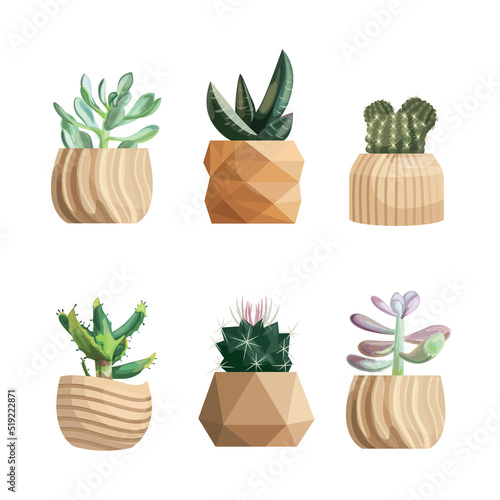 potted plants collection. succulents and house plants. hand drawn vector art. Set of house indoor plant vector cartoon doodle.