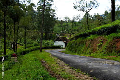 path in the countryside