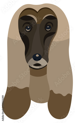 Afghan hound dog head portrait illustration in graphic style