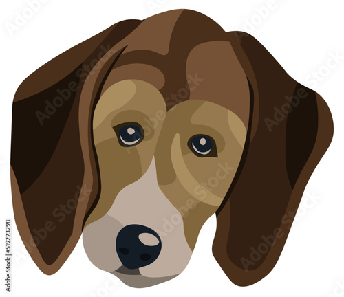 Cute beagle puppy dog head portrait illustration in graphic style