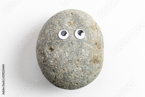 Pet Rock