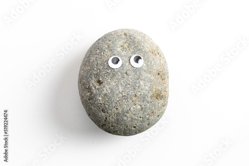 Pet Rock