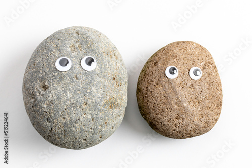 Pet Rock photo