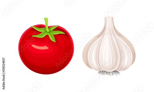 Tomato and garlic ripe fresh vegetables vector illustration