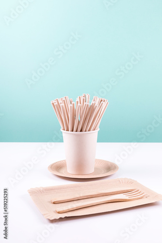 Eco friendly disposable tableware. Paper plates, cups, straws and wooden cutlery. Zero waste, plastic free items. Sustainable lifestyle concept. Copy space.