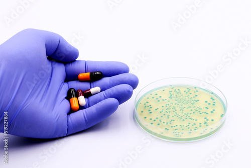 Escherichia coli bacteria grow in a selective microbiological medium inside a Petri dish and in the hand of a doctor or researcher with antibiotics or drugs. photo