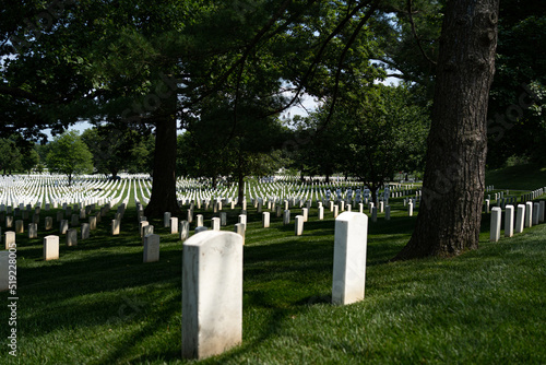 rows of military graves in Arlington Cemetery, Virginia, close to Washington DC, USA