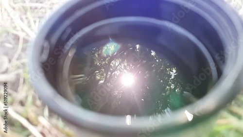 Reflection of the sun and trees in a coffee cup.