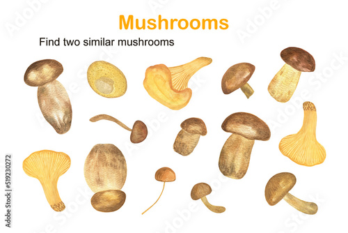 Find two similar forest mushrooms educational activity for children, fall autumn puzzle game, simple watercolor illustration worksheet for fun and leisure time, Thanksgiving holiday celebration