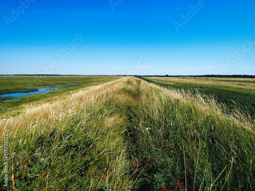 dike in grass field and pond under blue sky