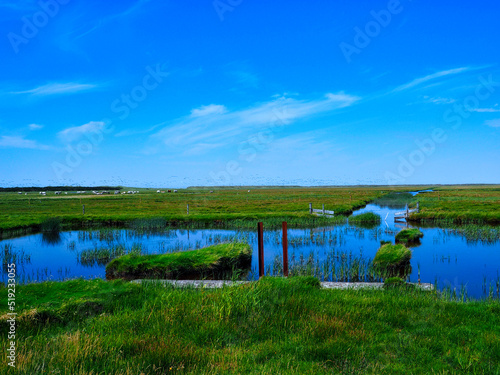 dike in front of a pond on the island of Rømø and grass field