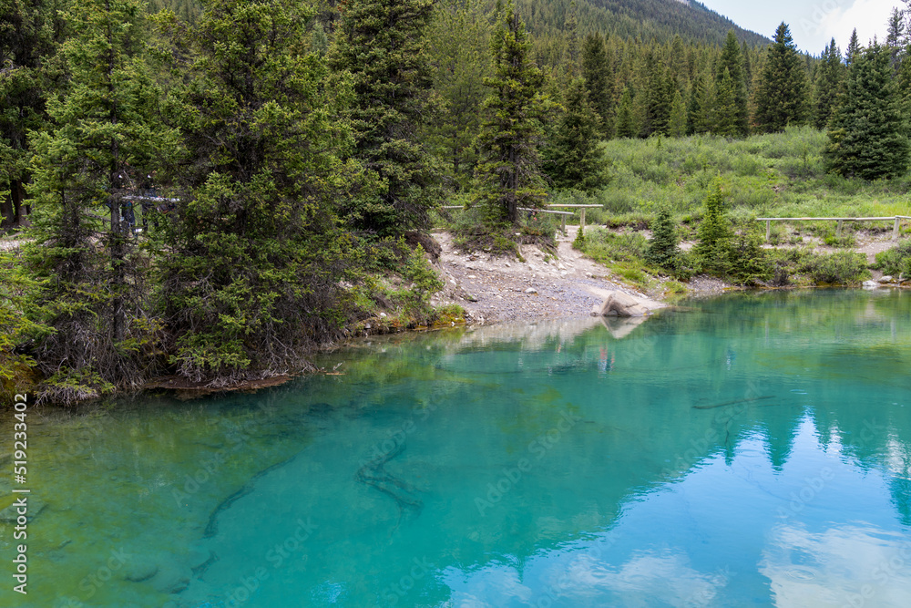 The inkpots area of Johnston Canyon in Banff National Park Alberta Canada