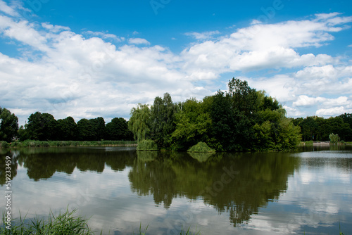 Fototapeta Naklejka Na Ścianę i Meble -  Trees and clouds reflecting in a lake or pond on a nice summer day