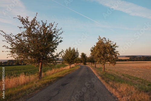 Highway countryside Germany with apple trees 