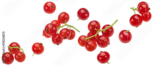 Red currant isolated on white background photo