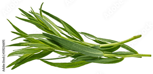 Tarragon isolated on white background