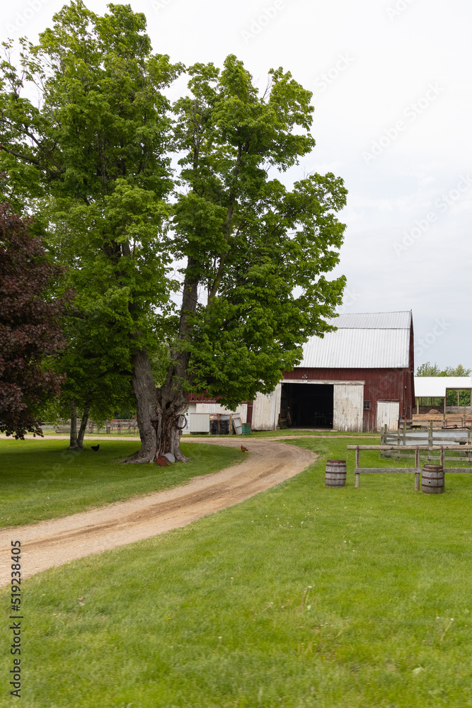 Dirt road to an old barn and big tree