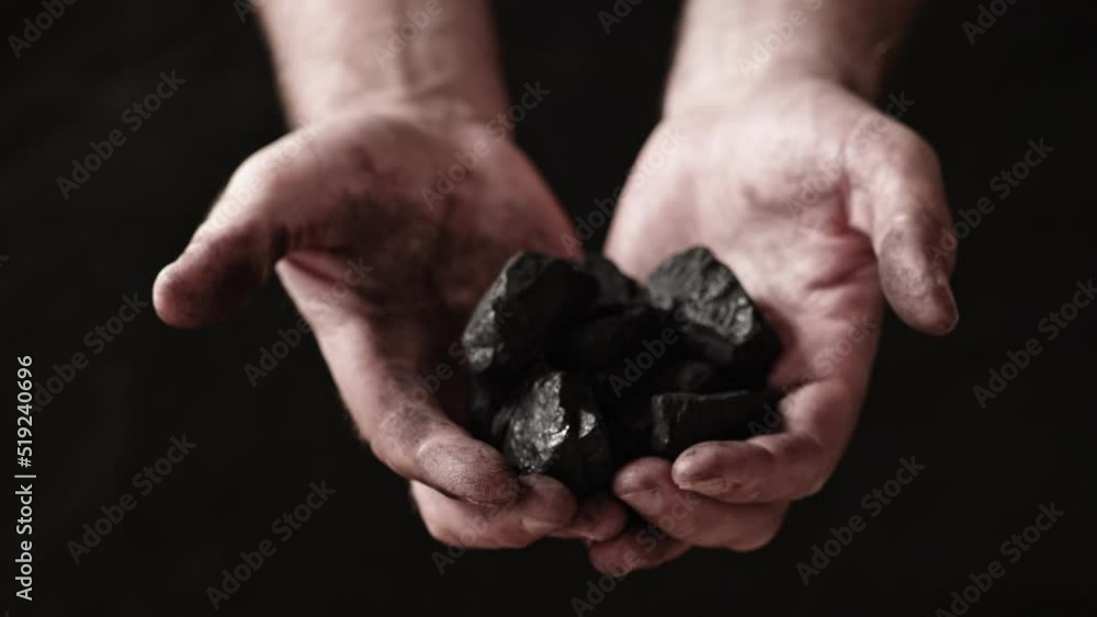 A miner shows the pieces and nuggets of coal in his hands. A miner shows the pieces and nuggets of coal in his hands.