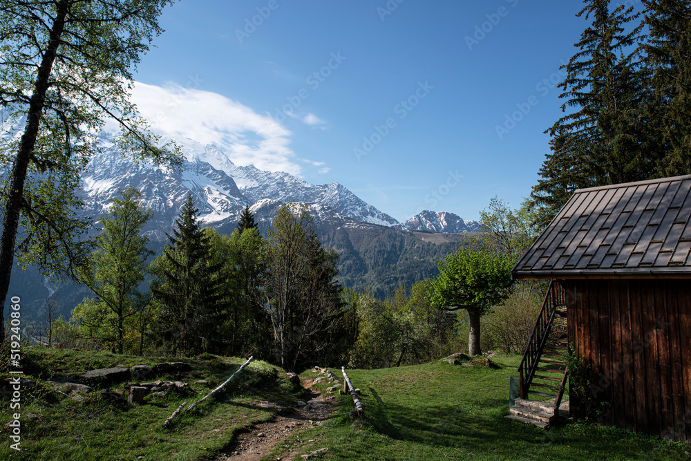 Landscape of the French Alps with the red needles and the Mont Blanc massif 