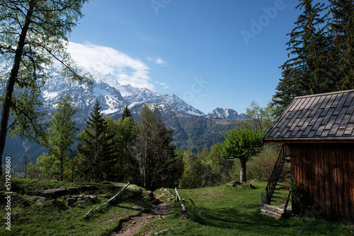 Landscape of the French Alps with the red needles and the Mont Blanc massif 