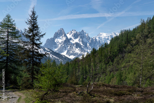 Landscape of the French Alps with the red needles and the Mont Blanc massif  photo