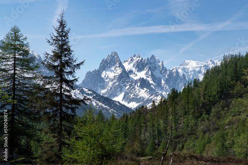 Landscape of the French Alps with the red needles and the Mont Blanc massif  photo